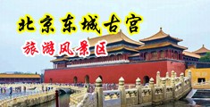 俄罗斯男人大鸡巴操女人逼观频中国北京-东城古宫旅游风景区